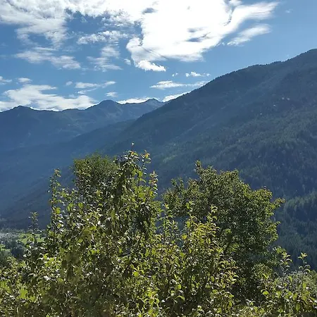 Pichlerhof 게스트하우스 스톨