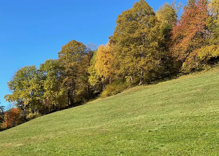 Gasthof Pichlerhof Stall